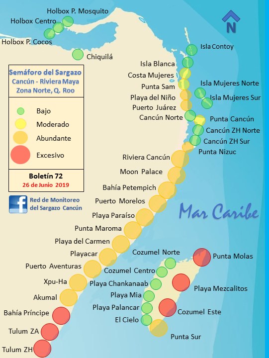 Llega más sargazo a las costas de Quintana Roo - llegada-de-sargazo-a-costas-de-cancun