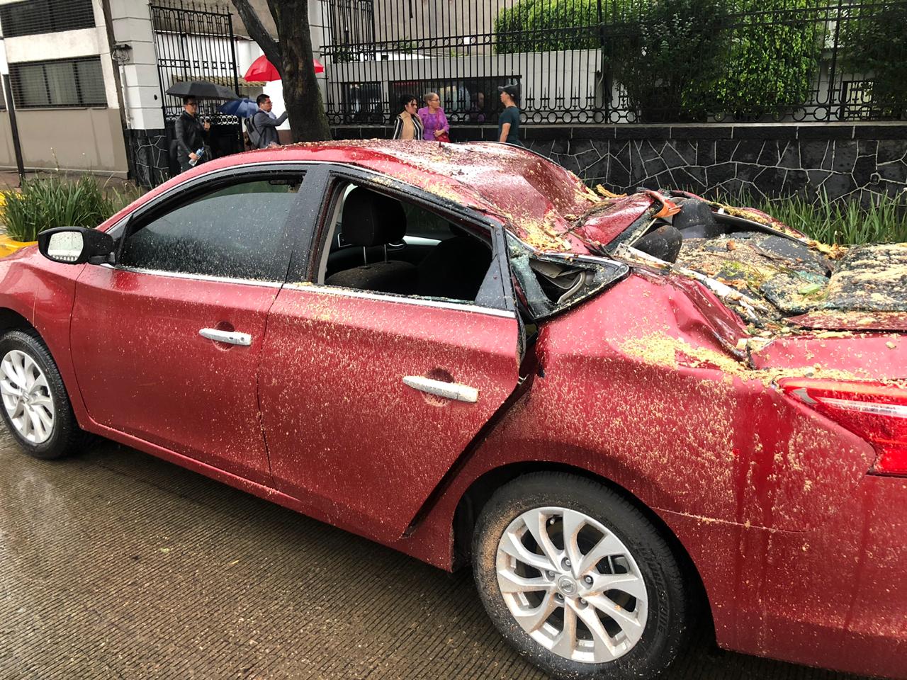 Fuerte lluvia provoca afectaciones en la Ciudad de México - lluvia-arbol-san-miguel-chapultepe-2