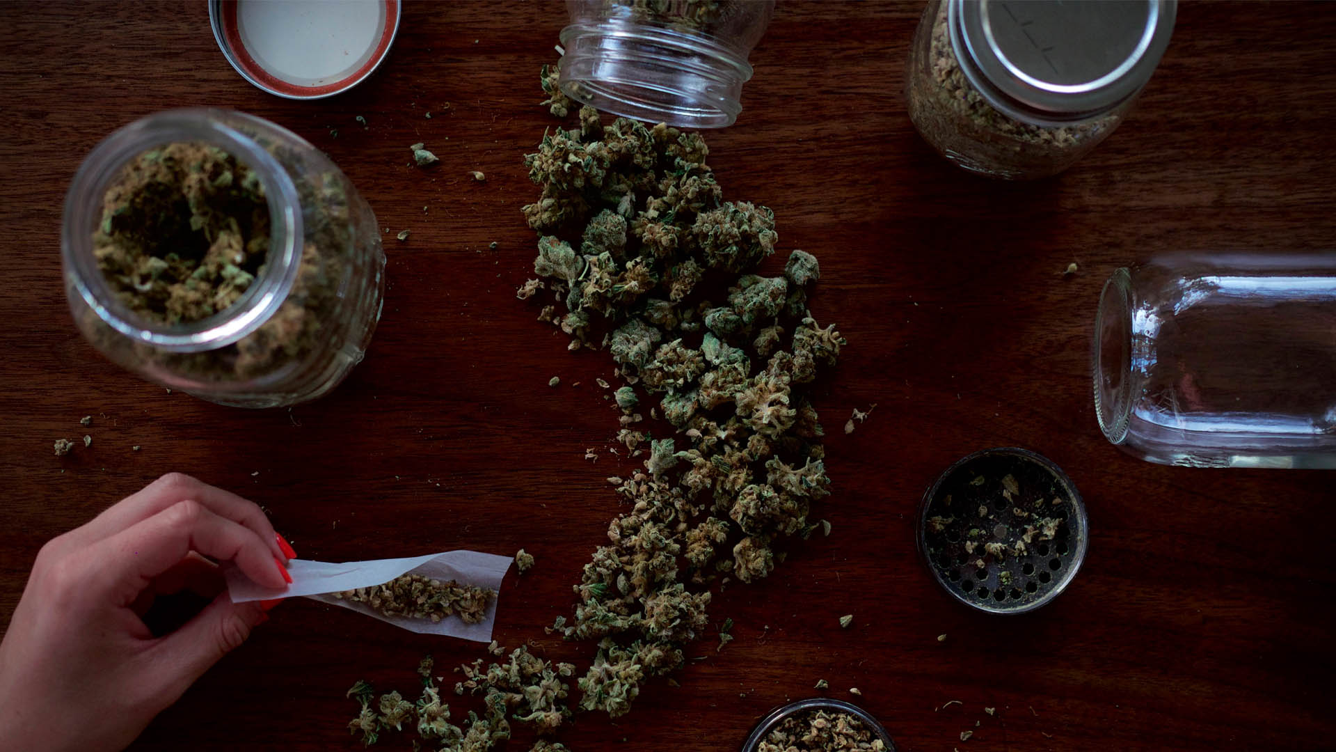 Despenalizan posesión de la mariguana en Nueva York