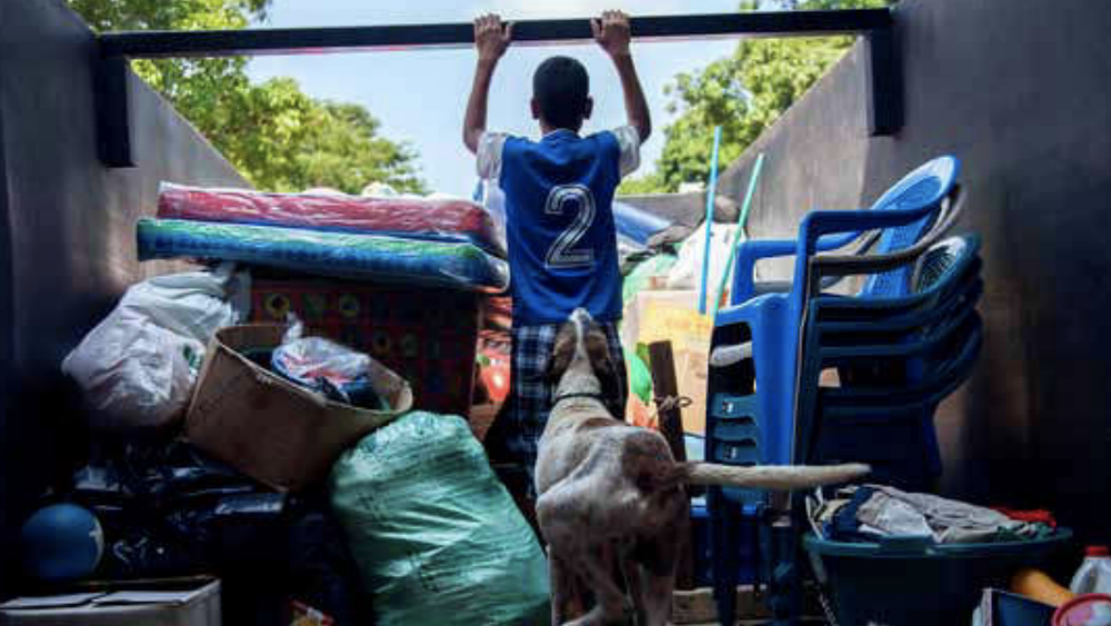 Violencia empujó a 2 mil salvadoreños y hondureños al desplazamiento forzado en 2018