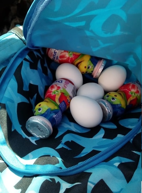Niño lleva huevos y yogurth a compañero "que no tiene comida" - mochila-llena-de-huevos-y-yogurth