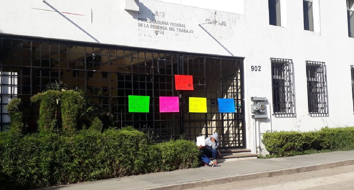 Becarios cumplen don meses sin apoyo de Jóvenes Construyendo el Futuro