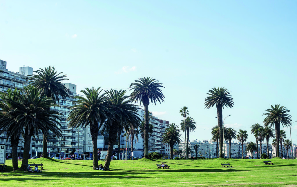 Montevideo: ramblas, mercados y art decó - rambla