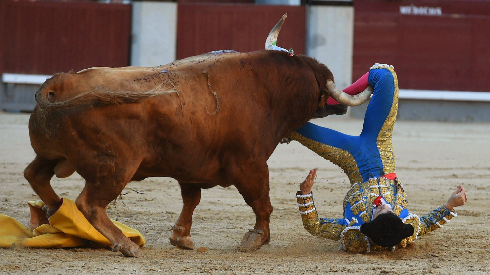 El matador Ritter resulta herido por el cuarto toro en Las Ventas