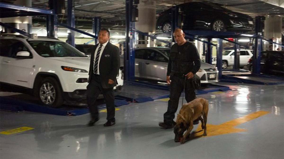 Senado incrementa medidas de seguridad tras ataque