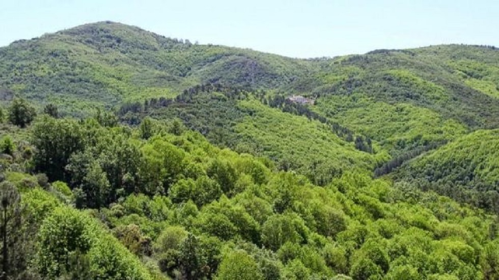 Proponen 20 años de cárcel por daño en zonas protegidas del Edomex