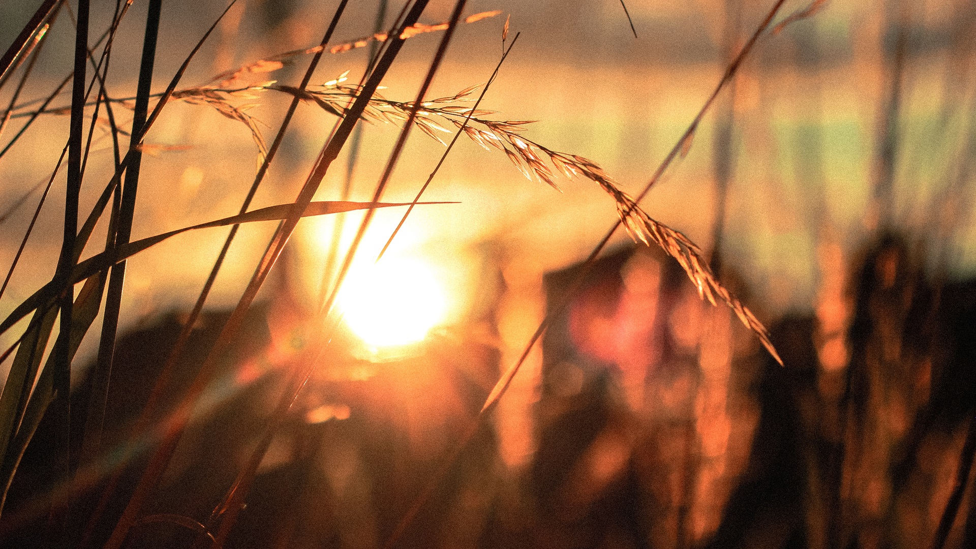 Mayo de 2019 fue el cuarto mes más caluroso en 140 años