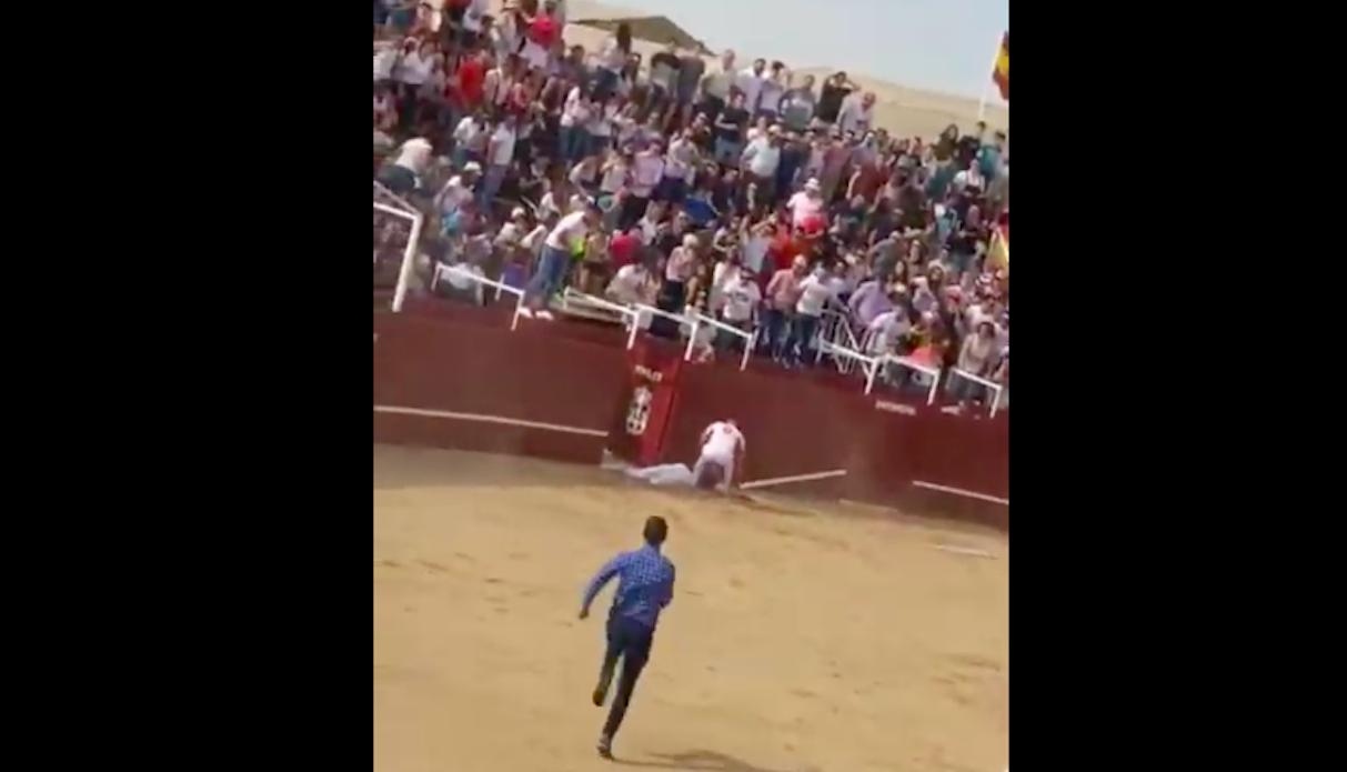 #Video Muere hombre por cornada de toro en España