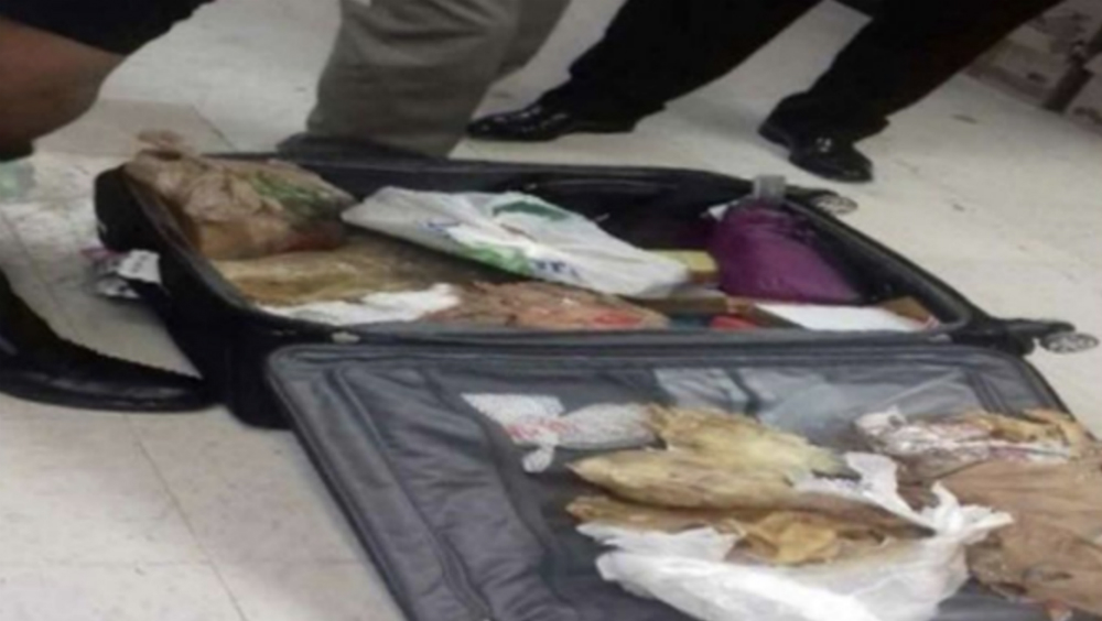 Mujer china detenida con totoaba deberá pagar más de 200 mil pesos