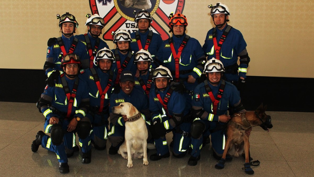 Jubilan a Frida, la perra rescatista del 19S