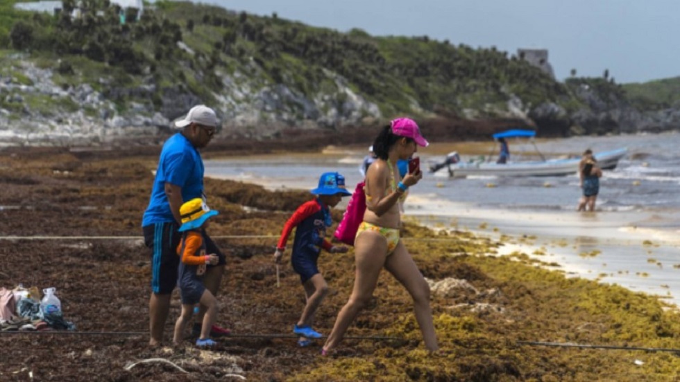 ProMéxico quiere sacar provecho del sargazo: López Obrador