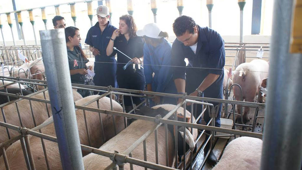 Asaltan a estudiantes de veterinaria de la UNAM en Jilotepec