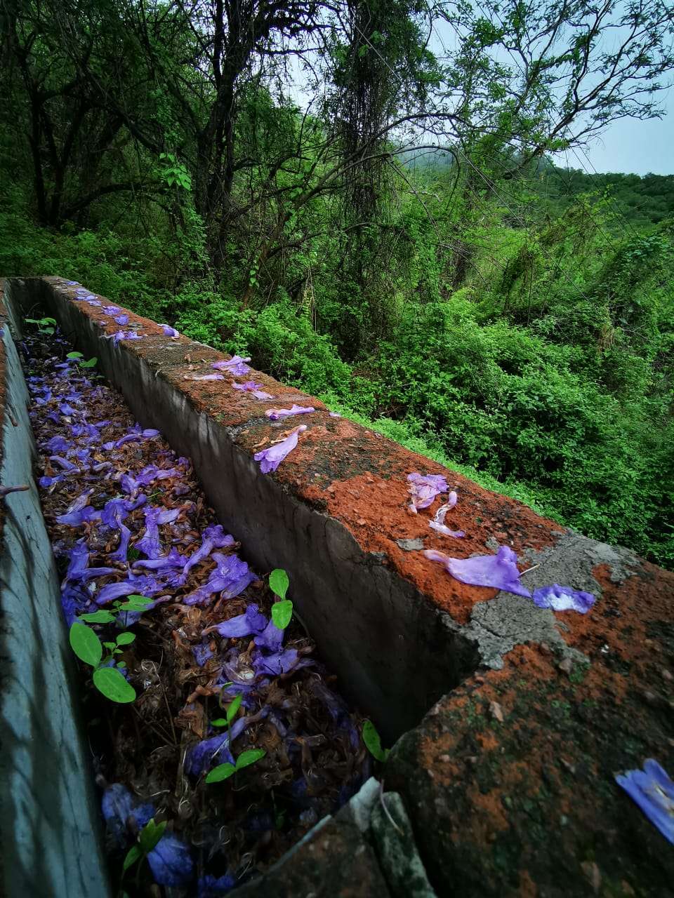 Grutas de la Estrella, fotos en condiciones de poca luz - whatsapp-image-2019-06-07-at-65106-pm