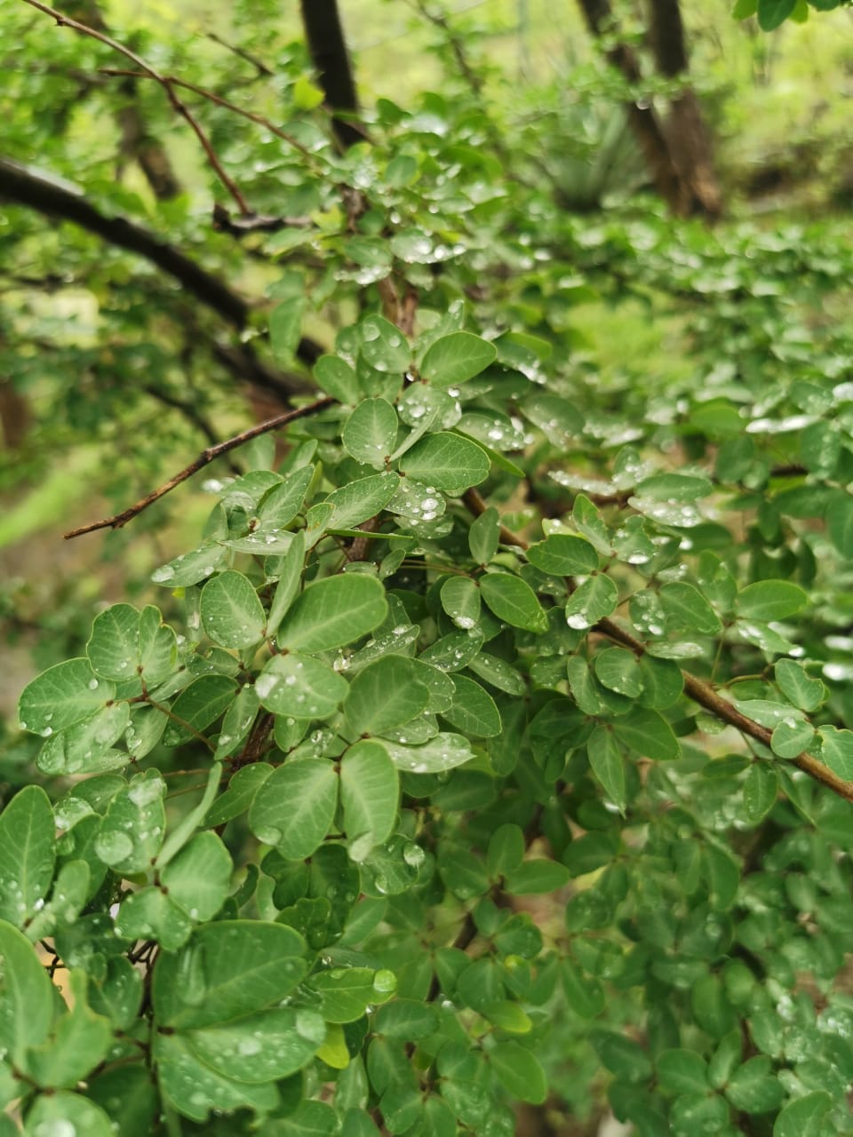 Grutas de la Estrella, fotos en condiciones de poca luz - whatsapp-image-2019-06-07-at-71110-pm