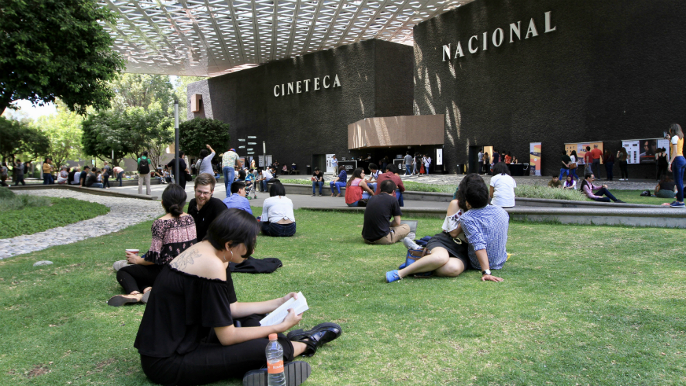 La Cineteca Nacional, una gran opción en la CDMX La Cineteca Nacional, una gran opción en la CDMX