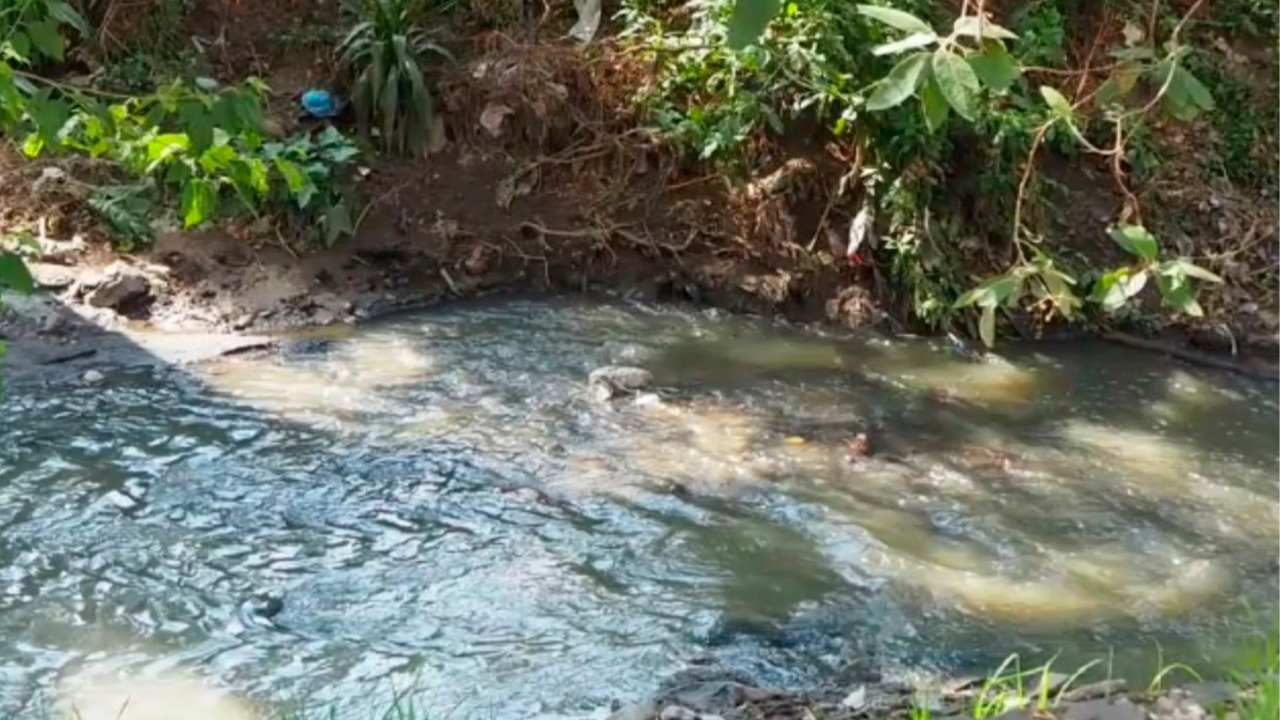 Tercera Jornada de Limpieza del Río Magdalena; sábado 15 de junio