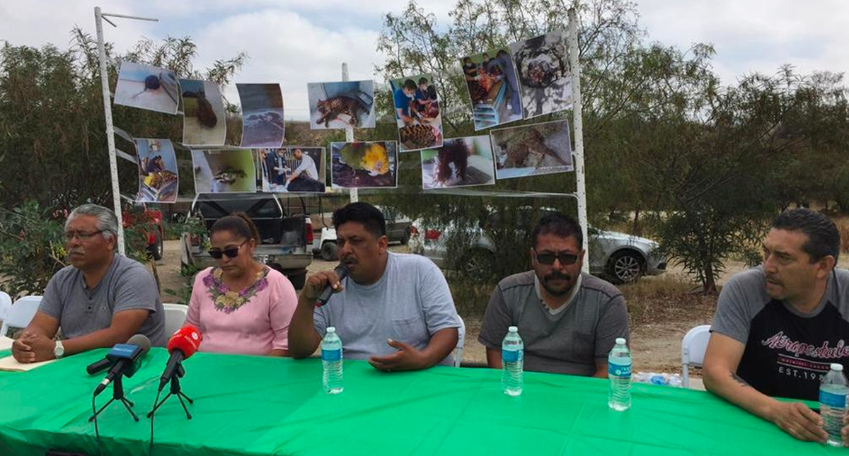 Denuncian la muerte de más de 80 animales en zoológico de Tijuana