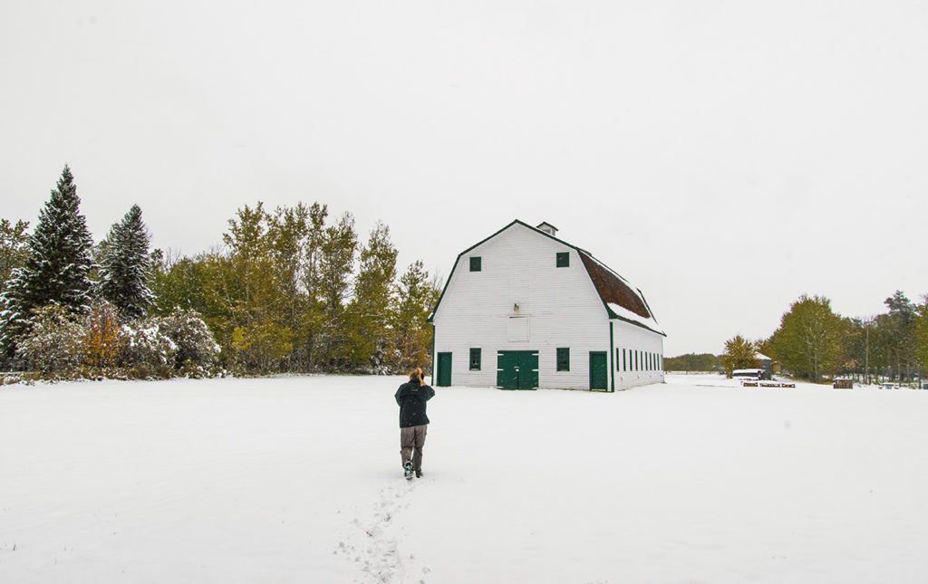 Alberta, un destino imperdible en Canadá - alberta-1
