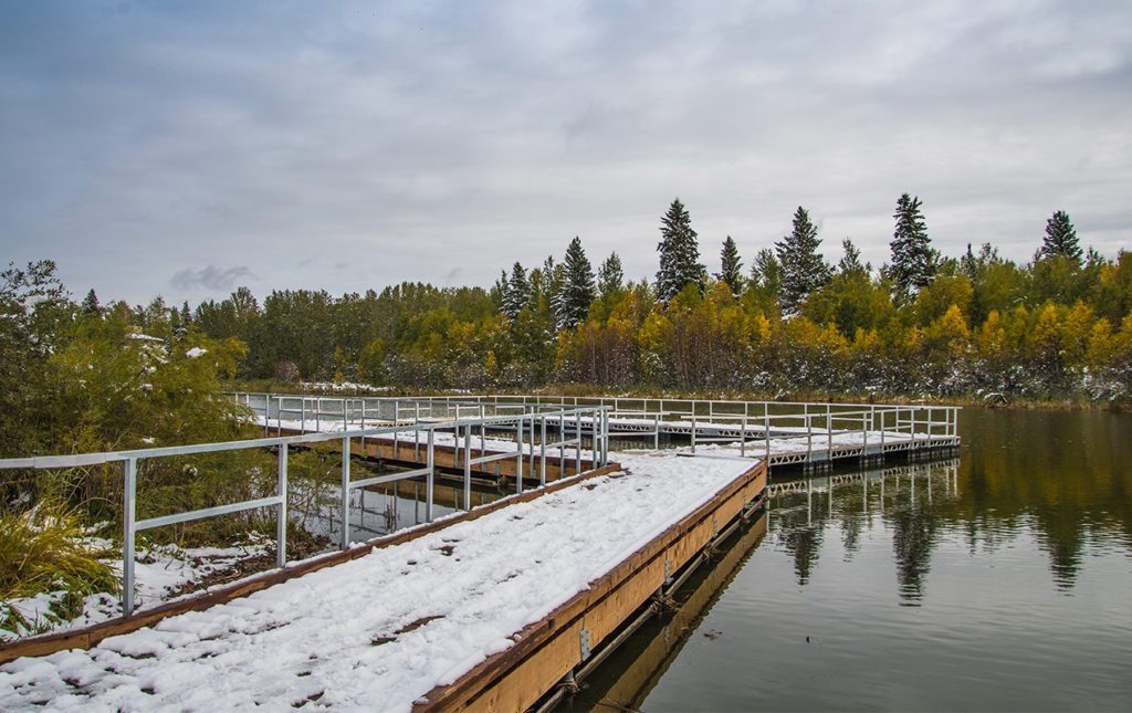 Alberta, un destino imperdible en Canadá - alberta-2