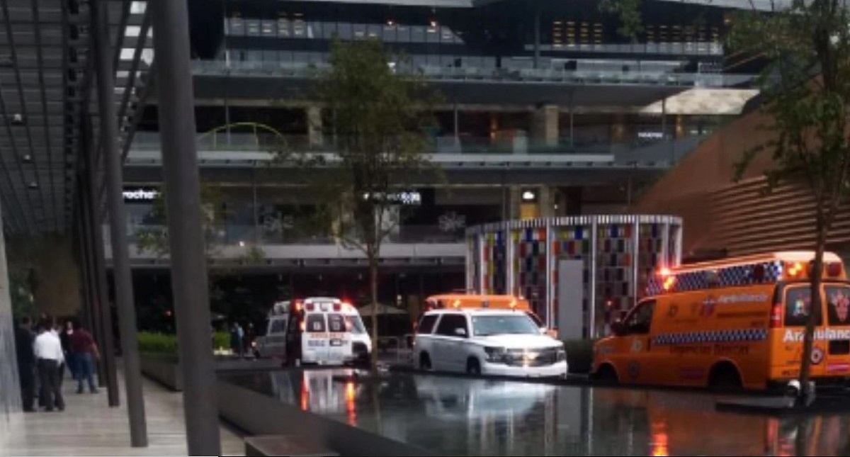 Sheinbaum promete informar de manera clara y oportuna sobre caso Artz Sheinbaum promete informar de manera clara y oportuna sobre caso Artz