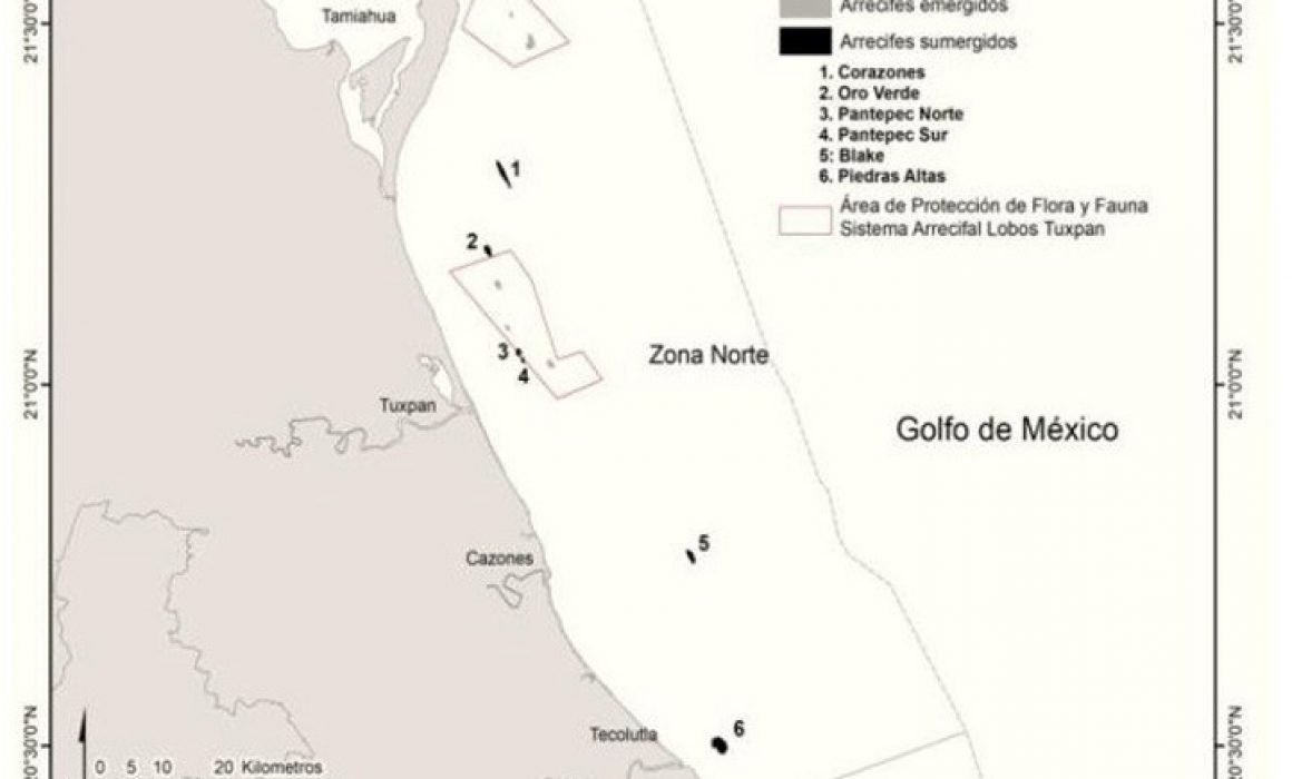 Descubren siete nuevos arrecifes frente a costas de Veracruz - arrecifes-de-coral-veracruz