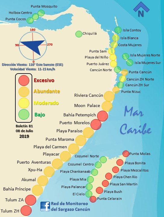 Reportan arribo excesivo de sargazo en 10 puntos de Quintana Roo - arribo-de-sargazo