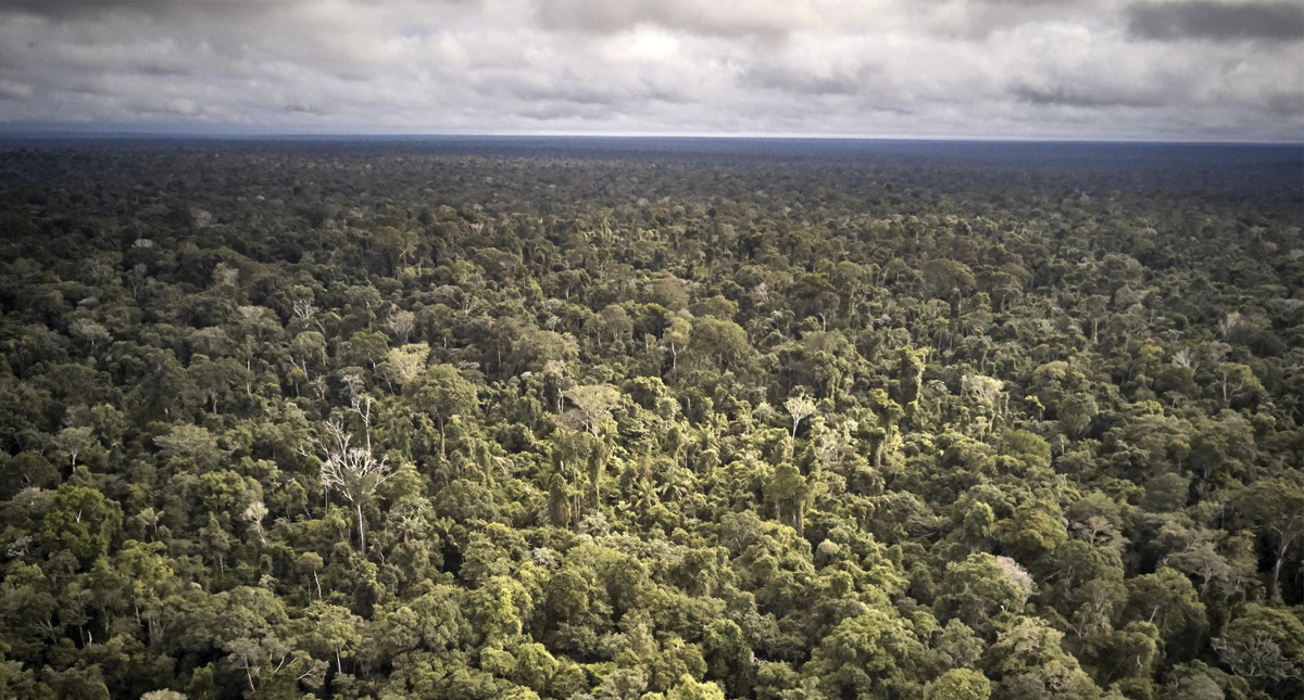 Brasil combate deforestación con policías de élite