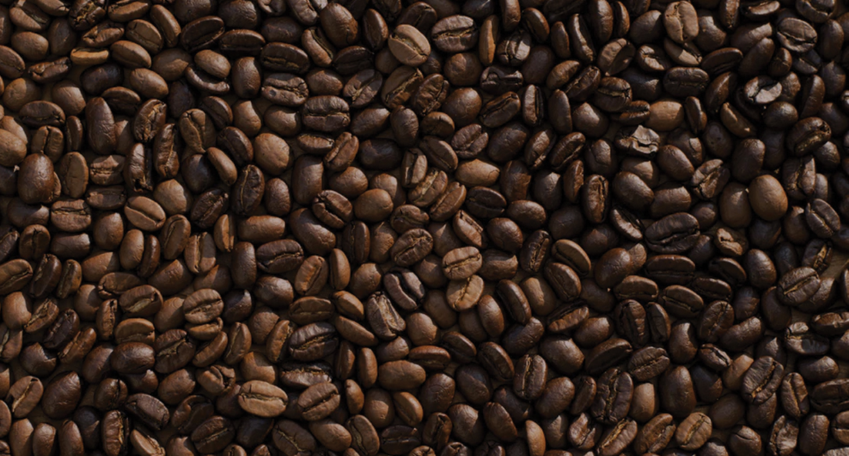 México propone abatir crisis del café para frenar migración