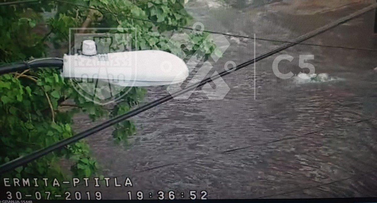 Lluvia derriba árboles y encharcamientos en calles capitalinas