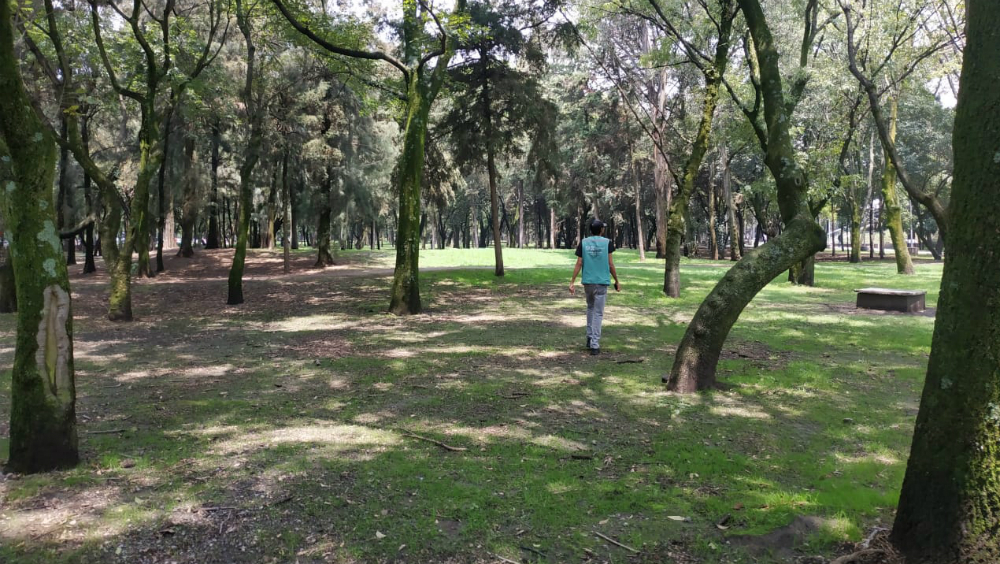 Se retiran indigentes que hicieron campamentos en el Parque Tamayo