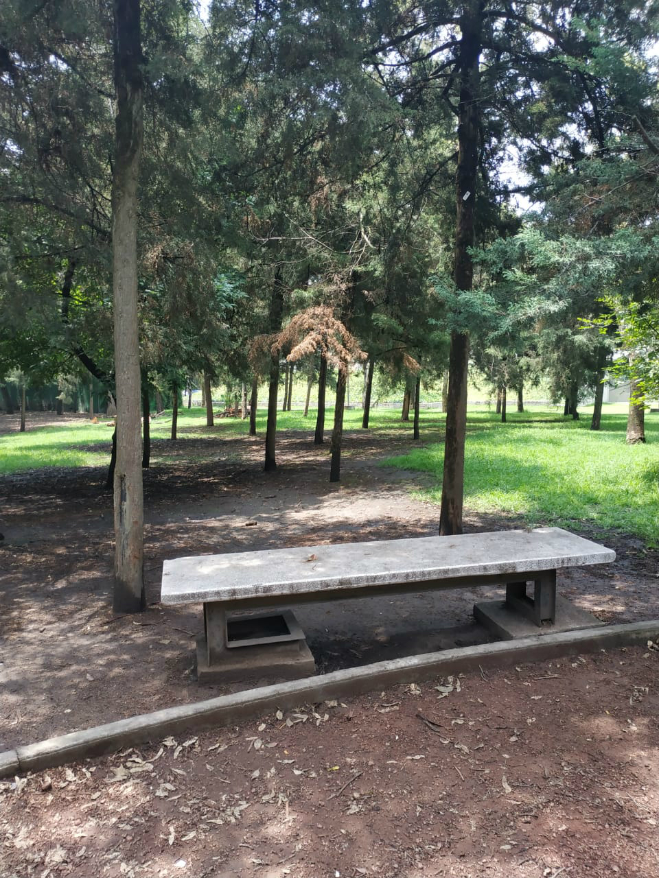 Se retiran indigentes que hicieron campamentos en el Parque Tamayo - campamentos-cdmx-indigentes-3