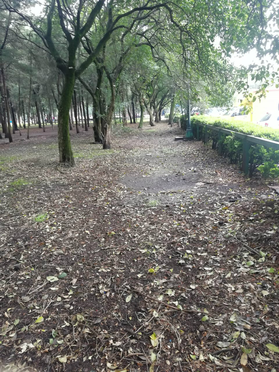 Se retiran indigentes que hicieron campamentos en el Parque Tamayo - campamentos-cdmx-indigentes-5
