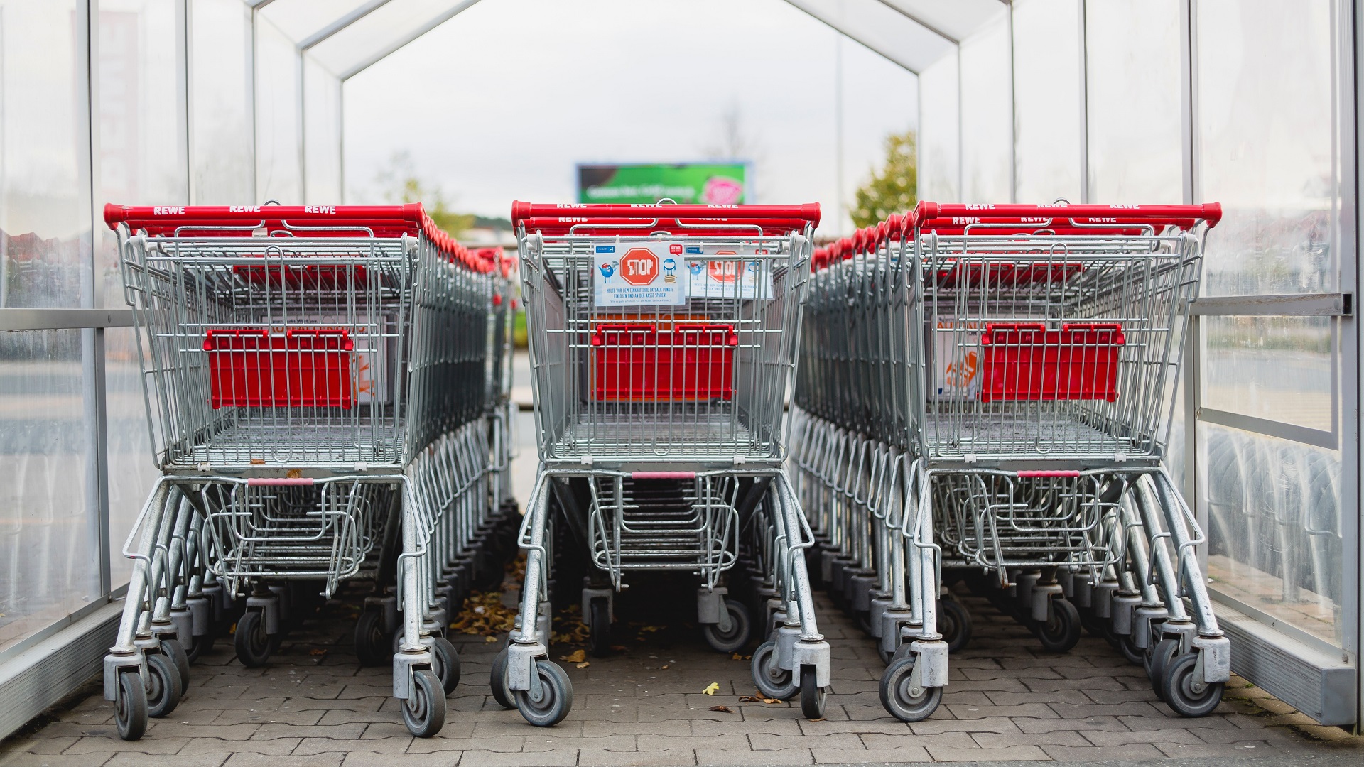 Investiga Cofece por posibles prácticas monopólicas en supermercados