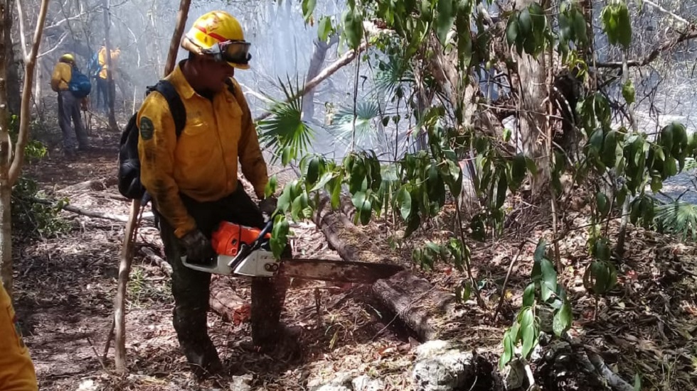 Controlan al 90 por ciento el incendio en Sian Ka’ an