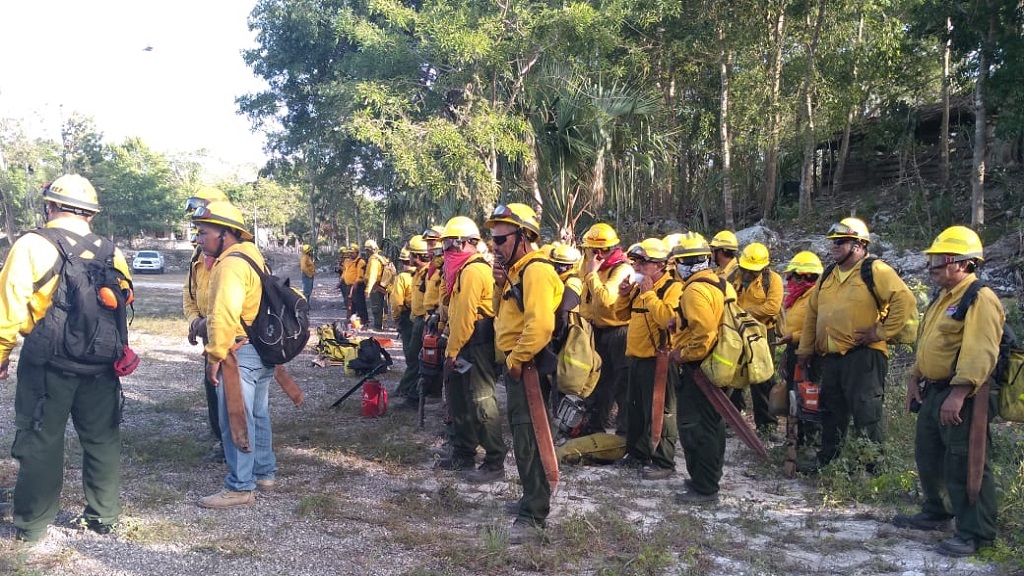 Controlan al 90 por ciento el incendio en Sian Ka' an - combatientes-en-incendio-de-sian-ka-an
