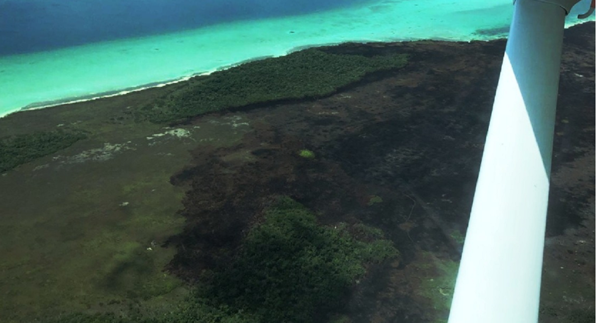 Controlan al 95 por ciento incendio en reserva de Sian Ka’an