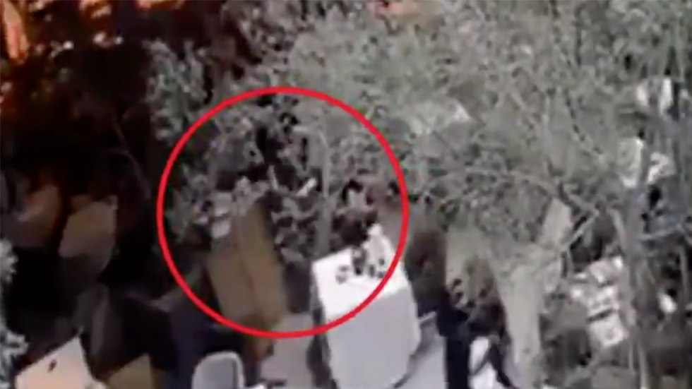 #Video Difunden nueva grabación de ataque en restaurante de Artz Pedregal #Video Difunden nueva grabación de ataque en restaurante de Artz Pedregal