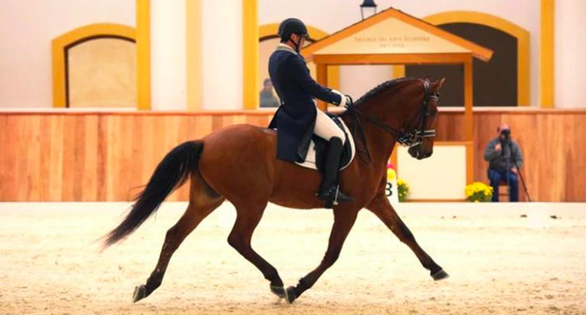 Equitador chileno da positivo por mariguana en Panamericanos de Lima