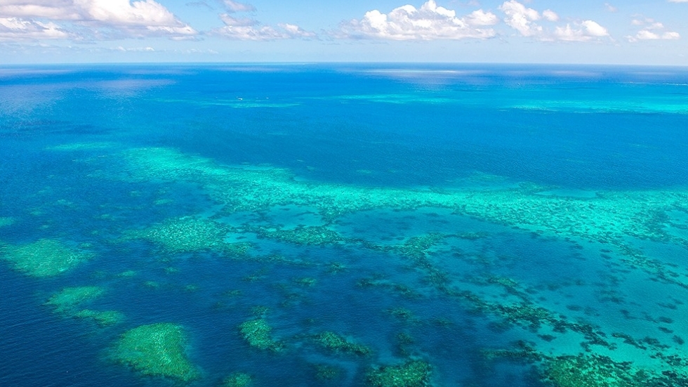 Gran Barrera de Arrecifes enfrenta retos “sin precedentes” para recuperar sus corales