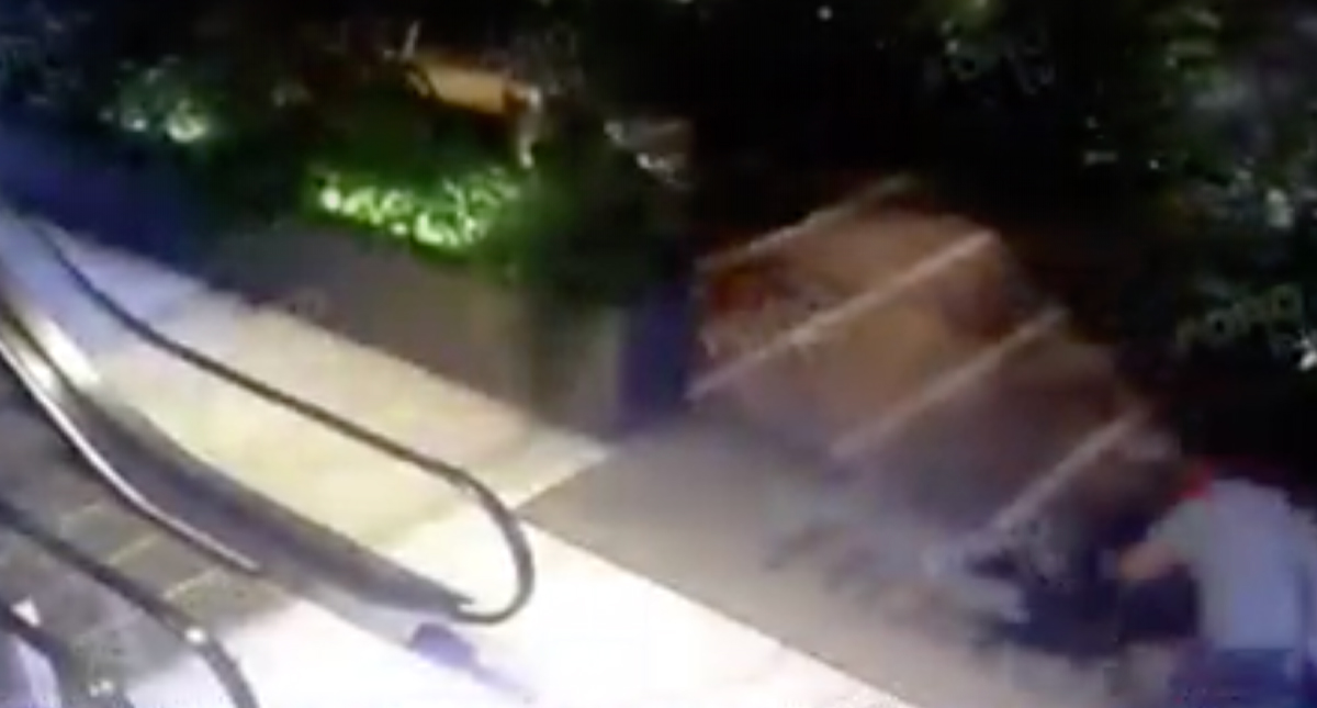 #Video Momento de la huída tras matar a israelíes en Artz Pedregal