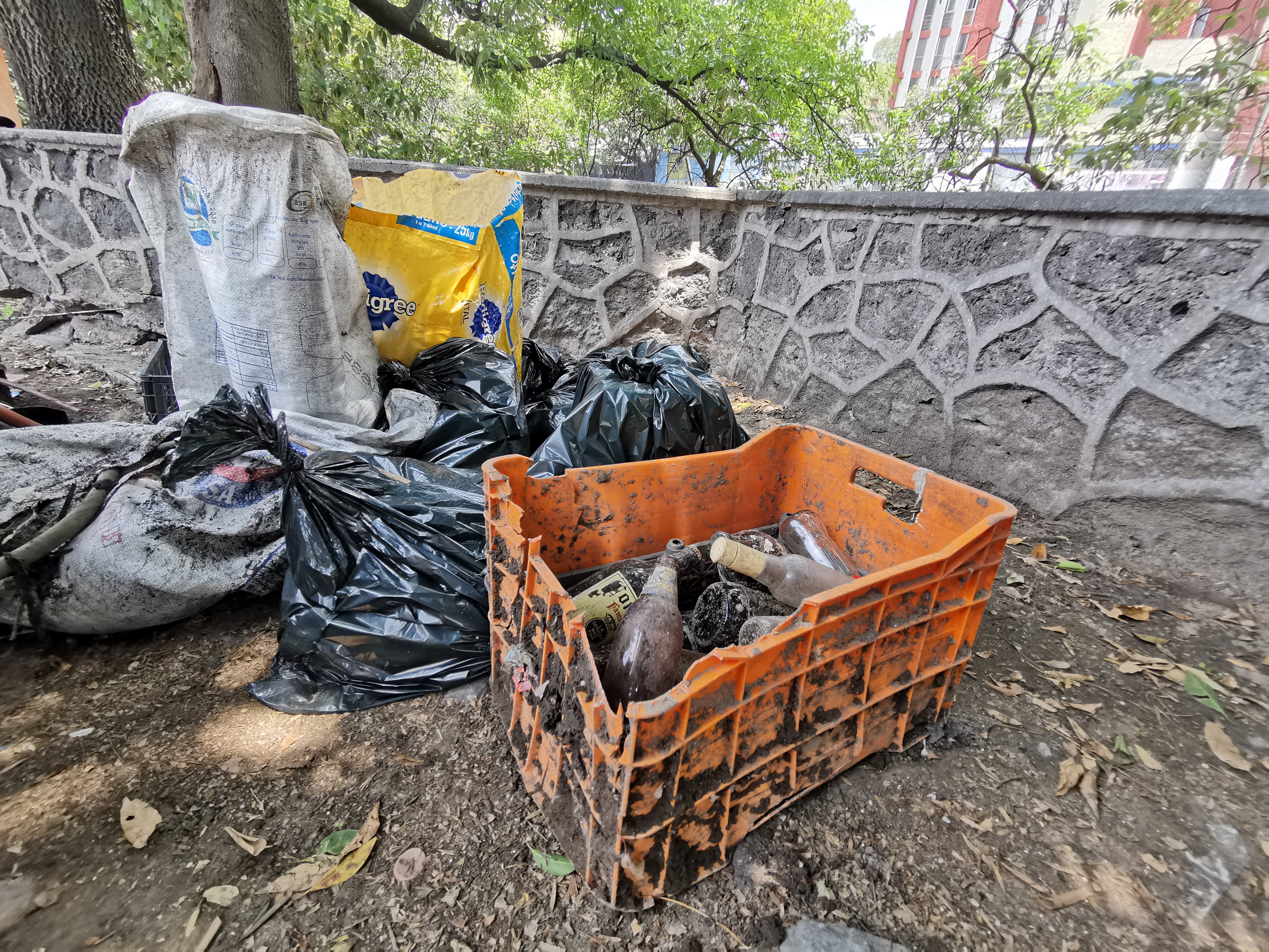 Ayudan a limpiar Coyoacán y generan conciencia ecológica - img-20190707-124755