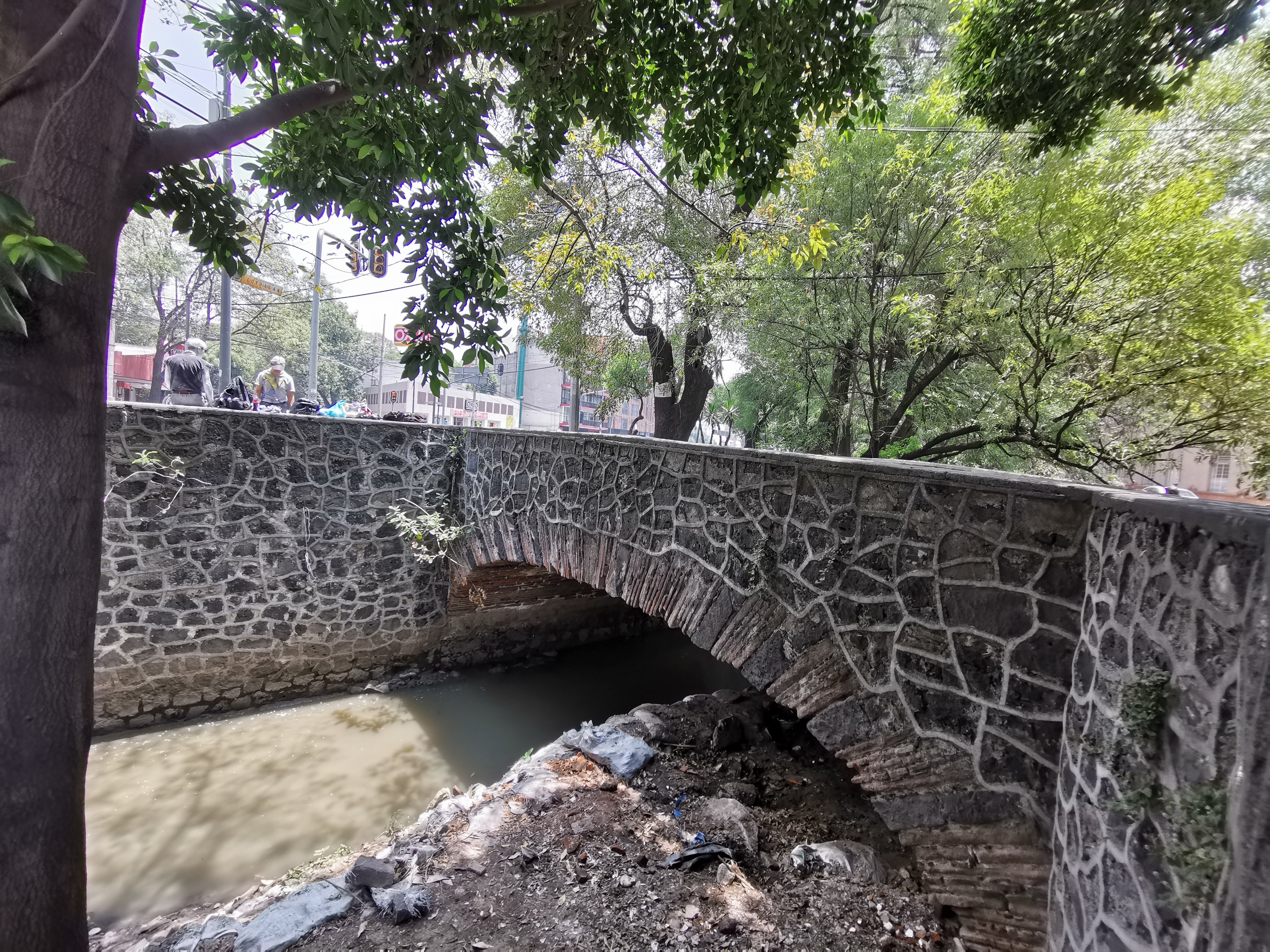 Ayudan a limpiar Coyoacán y generan conciencia ecológica - img-20190707-124813