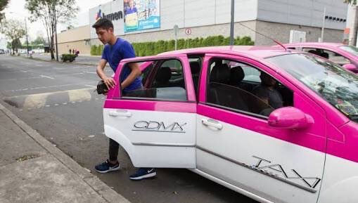 Sabe a dónde va - img-2410