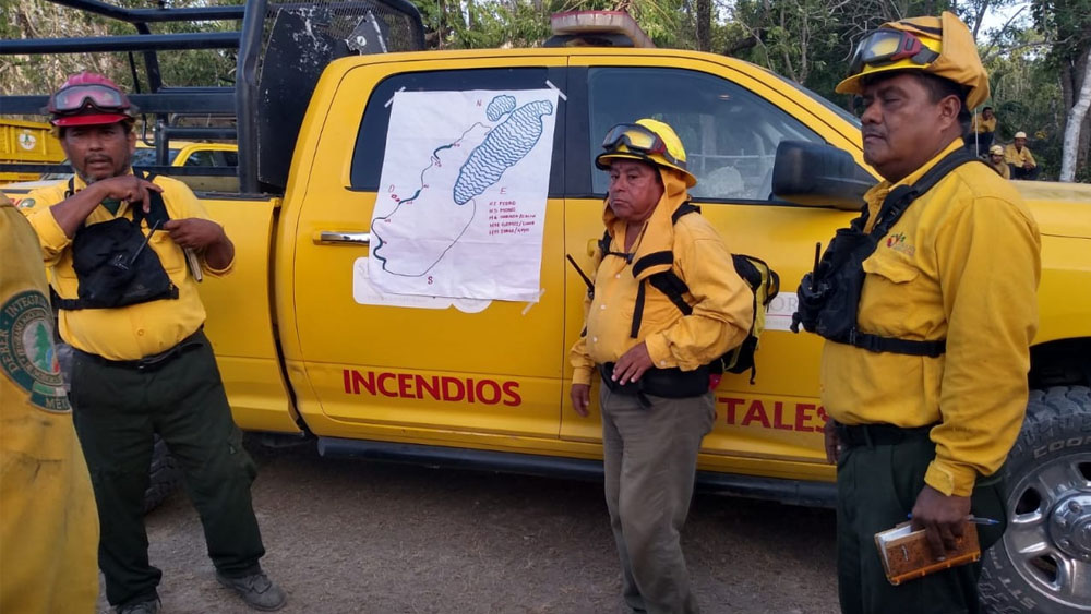 Incendios forestales azotan Quintana Roo