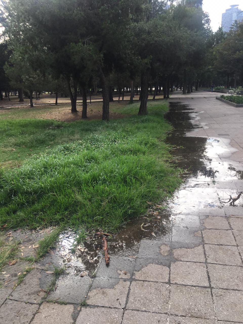 Indigentes instalan campamentos en el bosque de Chapultepec - indigentes-museo-tamayo-10