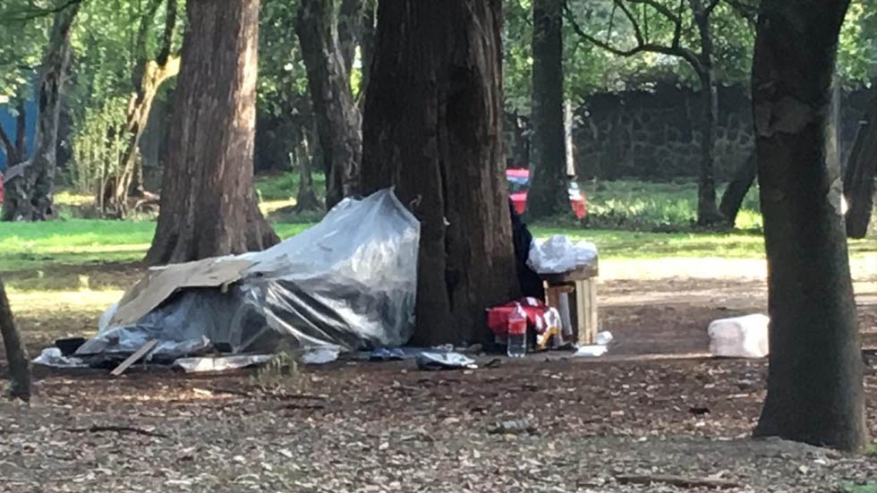 Indigentes instalan campamentos en el bosque de Chapultepec - indigentes-museo-tamayo-9
