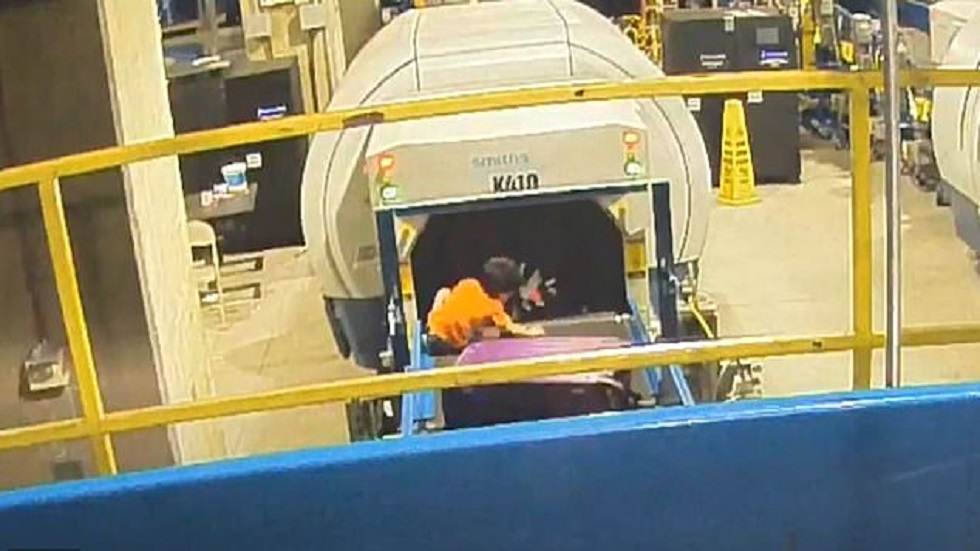 #Video Niño se fractura la mano por jugar en banda de equipaje - lorenzo-en-la-zona-de-acomodo-de-equipajes