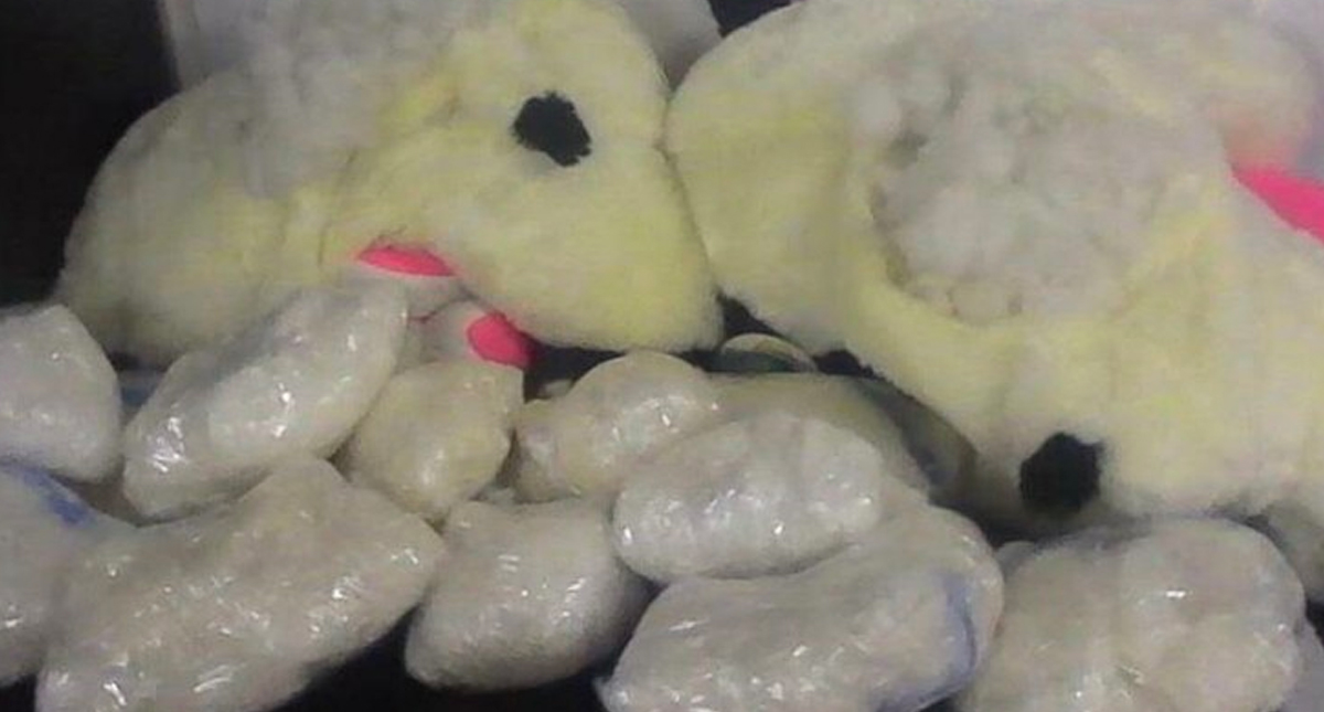 Binomio canino localiza en paquetería casi ocho kilos de metanfetamina