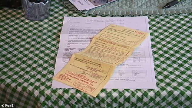 Encarcelarán a anciana por alimentar a gatos callejeros - mujer-carcel-gatos-multas