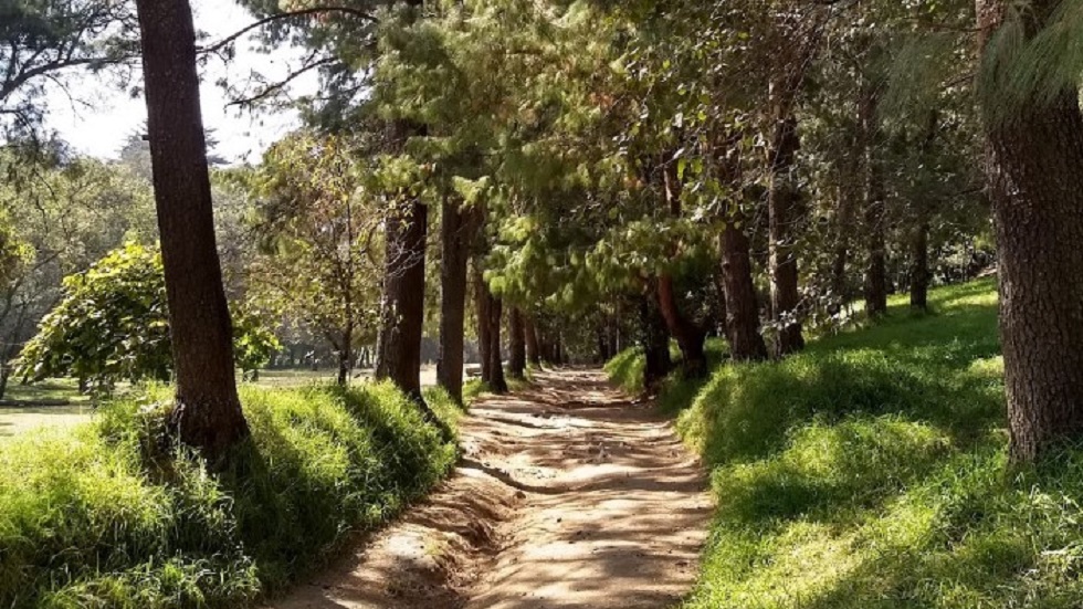 Caen cuatro presuntos narcomenudistas tras persecución en Los Dinamos